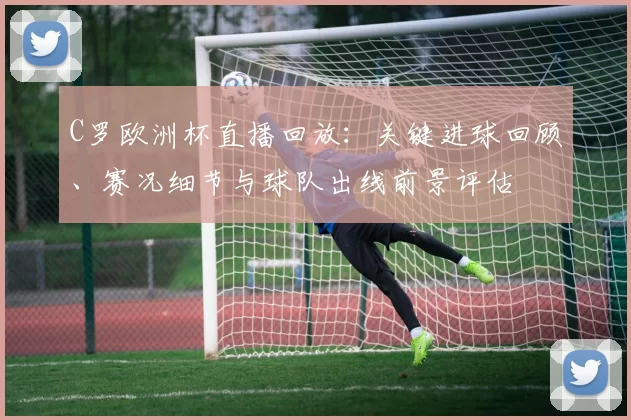 C罗欧洲杯直播回放：关键进球回顾、赛况细节与球队出线前景评估