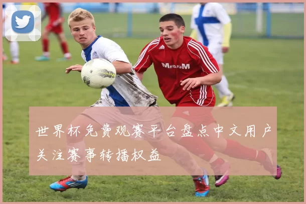 世界杯免费观赛平台盘点中文用户关注赛事转播权益