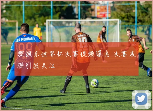 樊振东世界杯决赛视频曝光 决赛表现引发关注
